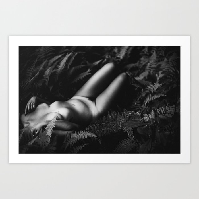 forbiden art erotica Aircraft paint stripper